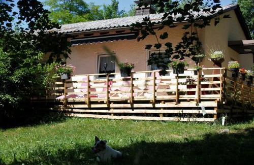 Neubau House | Haus 6