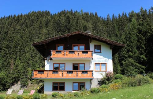 Schildlehen Apartment | Haus Bergquell