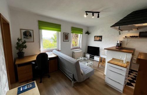 Mainz-Bingen Apartment | Haus Ehrenfels