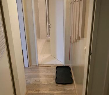 Bad Gastein Apartment | Haus Lothringen, TOP 8