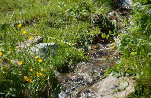 Sankt Gallenkirch Apartment | Haus Schallner