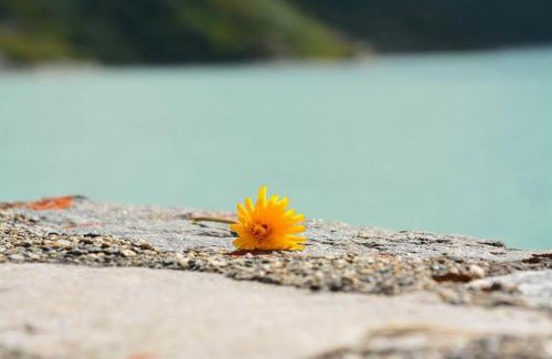 Sankt Gallenkirch Apartment | Haus Schallner