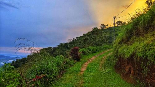 Hildummulla Bed & Breakfast | Hello Clouds