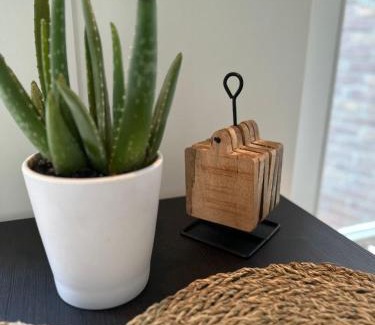 Noordwijk House | Hello Noordwijk - Studio Pietheinplein 1