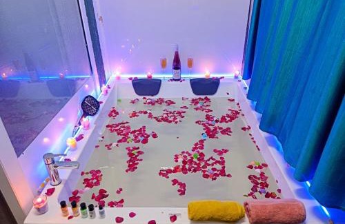 Arpora Apartment | Heritage Exotica - Studio Apartment with Bathtub 500 sqft