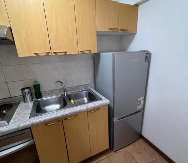 Frutillar Apartment | Hermoso departamento en playa Frutillar Bajo