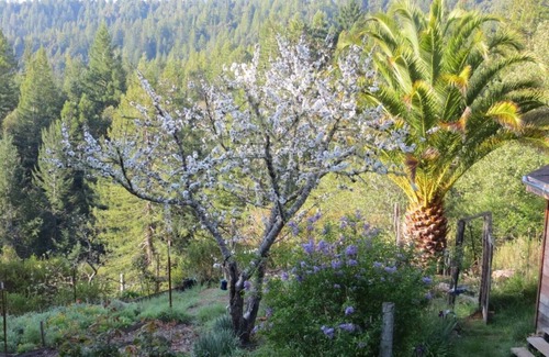 Philo House | Hidden Gem in the Lush Redwoods, close to Wineries & Coast