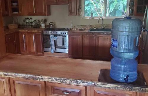 Bouvet Island House | Hidden in the Jungle - Amazing wildlife- Waterfalls close to Ruins