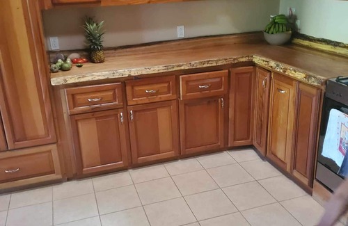 Bouvet Island House | Hidden in the Jungle - Amazing wildlife- Waterfalls close to Ruins