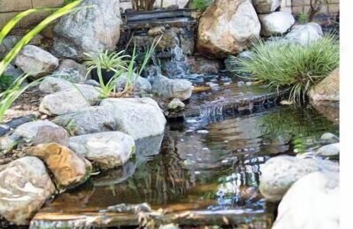 Bonita House | Hidden Paradise| BBQ & Fish Pond