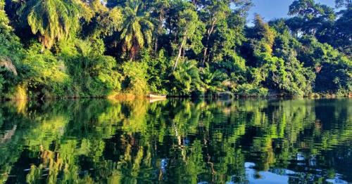 Sanctuary Belize House | Hidden Paradise Belize