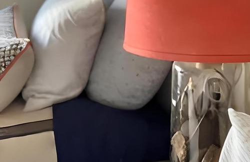 Twentynine Palms House | Hike Joshua Tree @ the Hot Tub & Pool Oasis