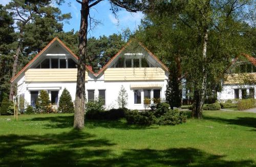 Ostseebad Prerow Apartment | Hinter den Dünen D60