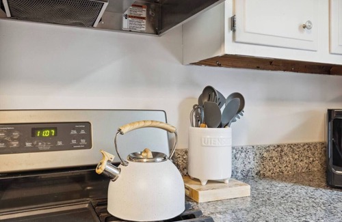 Center Avenue Historic District House | Historic 5th St | Dogs-OK| HotTub-open all yr!