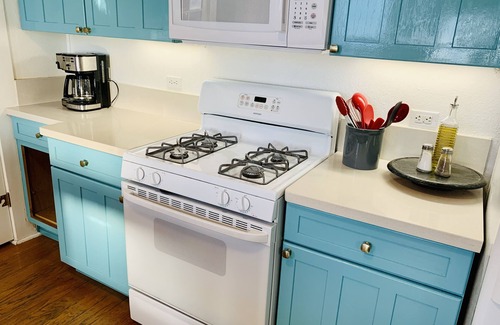 Mahncke Park House | Historic home, Heated Mini Pool, near downtown San Antonio! Walk to Zoo & Witte!