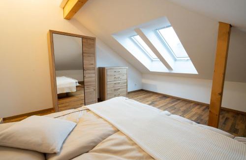 Dresden Apartment | Hochwertiges Apartment/120m²/Dachterrasse/Parking