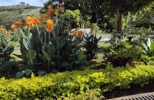 Guadalajara de Buga Apartment | Holiday Apartment - perfect for couples