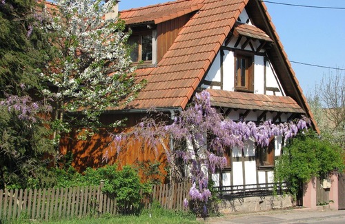 Betschdorf House | Holiday apartment Schwabwiller for 1 - 2 persons with 1 bedroom - Holiday house