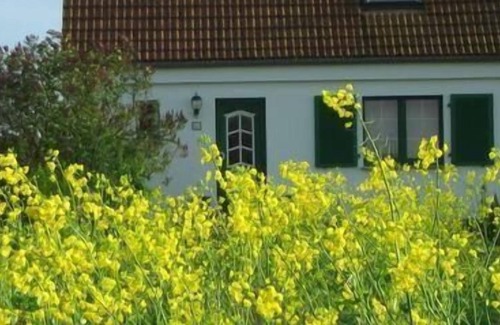 Ludershagen Apartment | Holiday apartment Lüdershagen for 1 - 4 persons with 1 bedroom - Holiday apartment