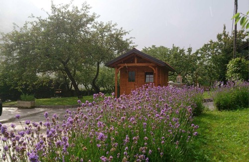 Tolmin Apartment | Holiday apartment with a private sunny terrace