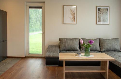 Liepaja House | Holiday home Ūdensrozes