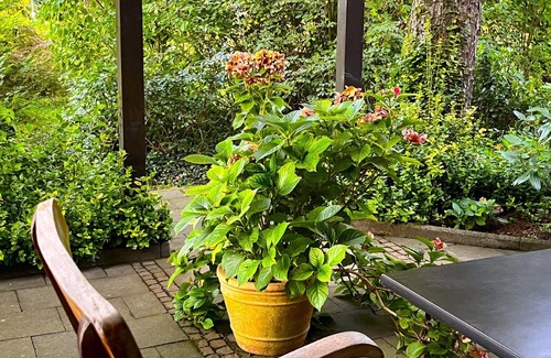 Kobern-Gondorf House | Holiday home Mosel,close to Koblenz,large terrace,bicycles