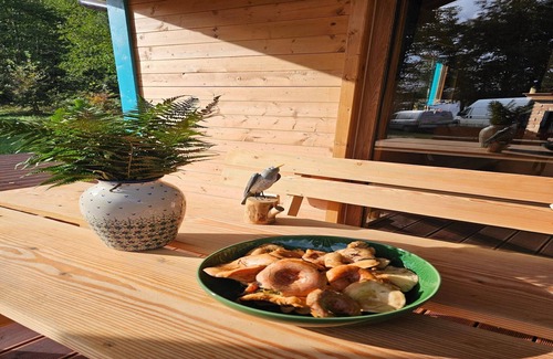 Szczecinek House | Holiday homes with a private beach on the lake