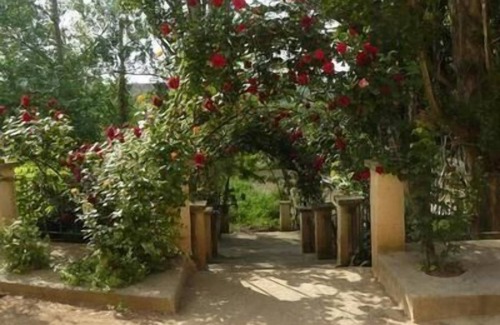 Ainzon House | Holiday house Ainzon for 1 - 8 persons with 4 bedrooms - Casa Rural
