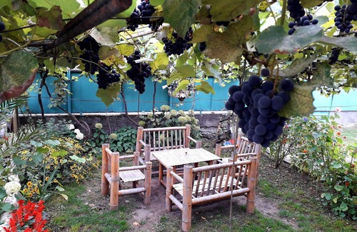 Akhali Ubani Apartment | holliday home borjomi