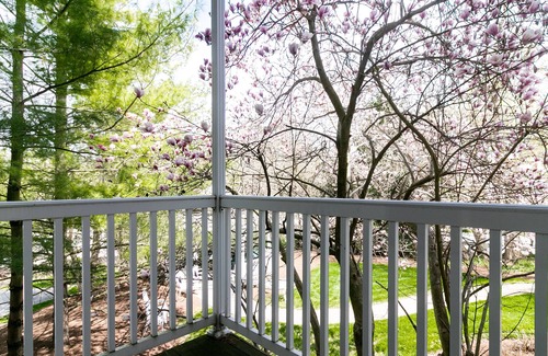Valparaiso Apartment | Holyrood Suite at Aberdeen