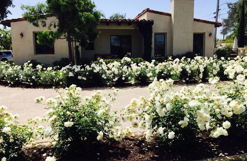 Solana Beach Cottage | home Solana Beach Del Mar. Walk to beach, racetrack, restaurants