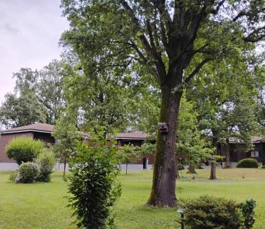 Ispra Apartment | Homely Ispra