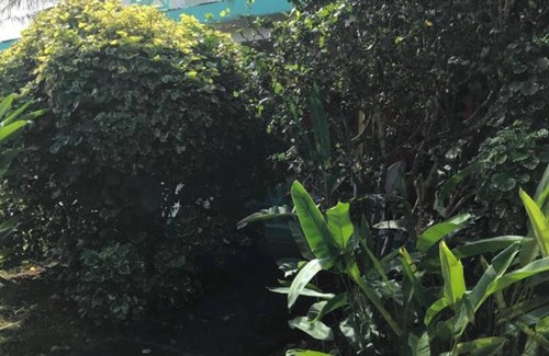 Sainte-Rose House | Homerez - Charming house in Sainte-Rose with pool