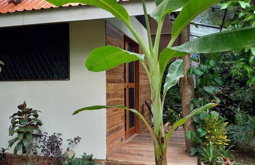 Uvita Cottage | Homestay in dashing 1br garden-cottage in Uvita, 10 min walk to the beach