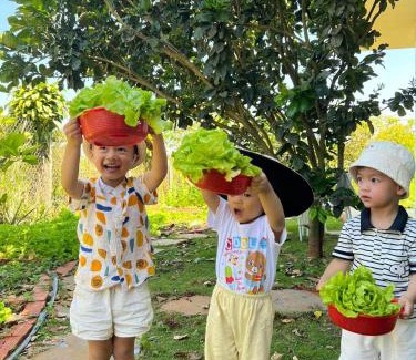 Bao Loc House | Homestay Vườn Trái Cây Nhiệt Đới VÔ ƯU GARDEN