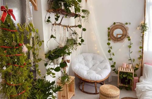 Bao Loc Hotel | HOMO CHILL