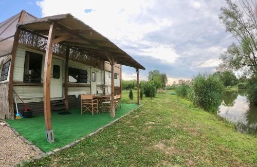 Vadu Crisului Other | Honey Tiny Home