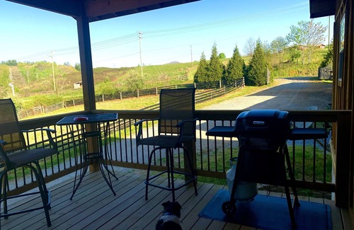 Horse Shoe House | Horse Friendly Barn Apartment with central location to hiking biking brewery’s