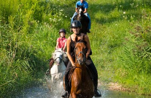Hoghilag Cabin | Horses & Style