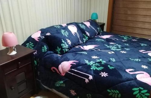 Coronel House | Hostal Aurora Coronel