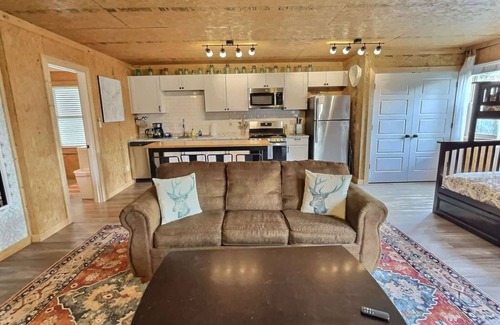 Eureka Springs Apartment | Hot Tub + Fire Pit + Close to Lake + Kayaks
