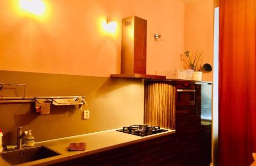 Prague 2 Apartment | Hotel Apartment in square praha 2