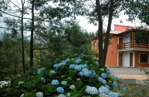 Gramado Hotel | Hotel Bangalôs da Serra