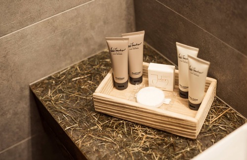 Zermatt Hotel | Hotel Daniela