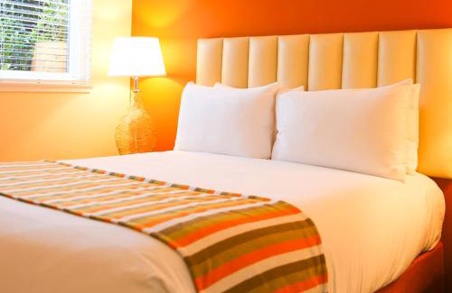 Cow Hollow Hotel | Hotel Del Sol