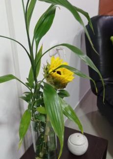 Pereira Hotel | Hotel el cable pereira