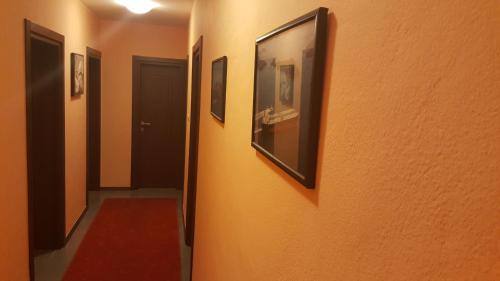 Kotor Hotel | Hotel Galia