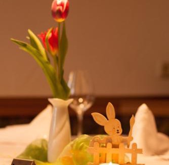 Bad Elster Hotel | Hotel Goldner Anker