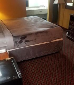 Stillwater Apartment | Hotel King Bed Room 236 Booking