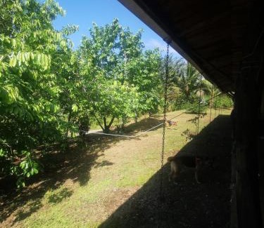 Drake Bay Apartment | Hotel la montaña el trogon